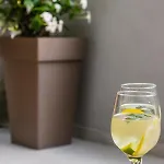Lejlighed Kiwi *